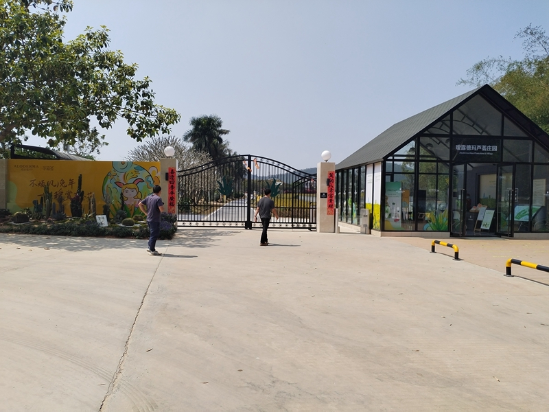 Yuanludema Aloe Vera Manor
